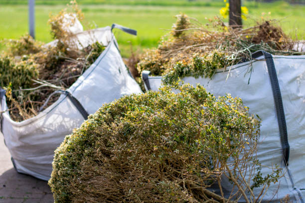 Trash Removal Near Me in St Stephen, SC